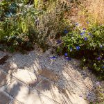 Reclaimed Yorkstone path feature